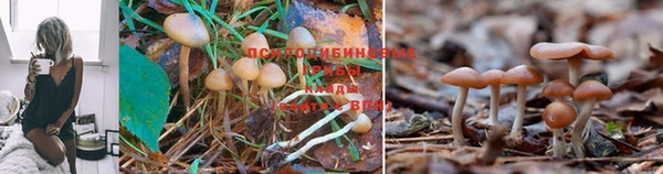 бутират Волосово