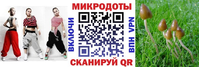 Псилоцибиновые грибы Magic Shrooms  магазин продажи наркотиков  Муром 